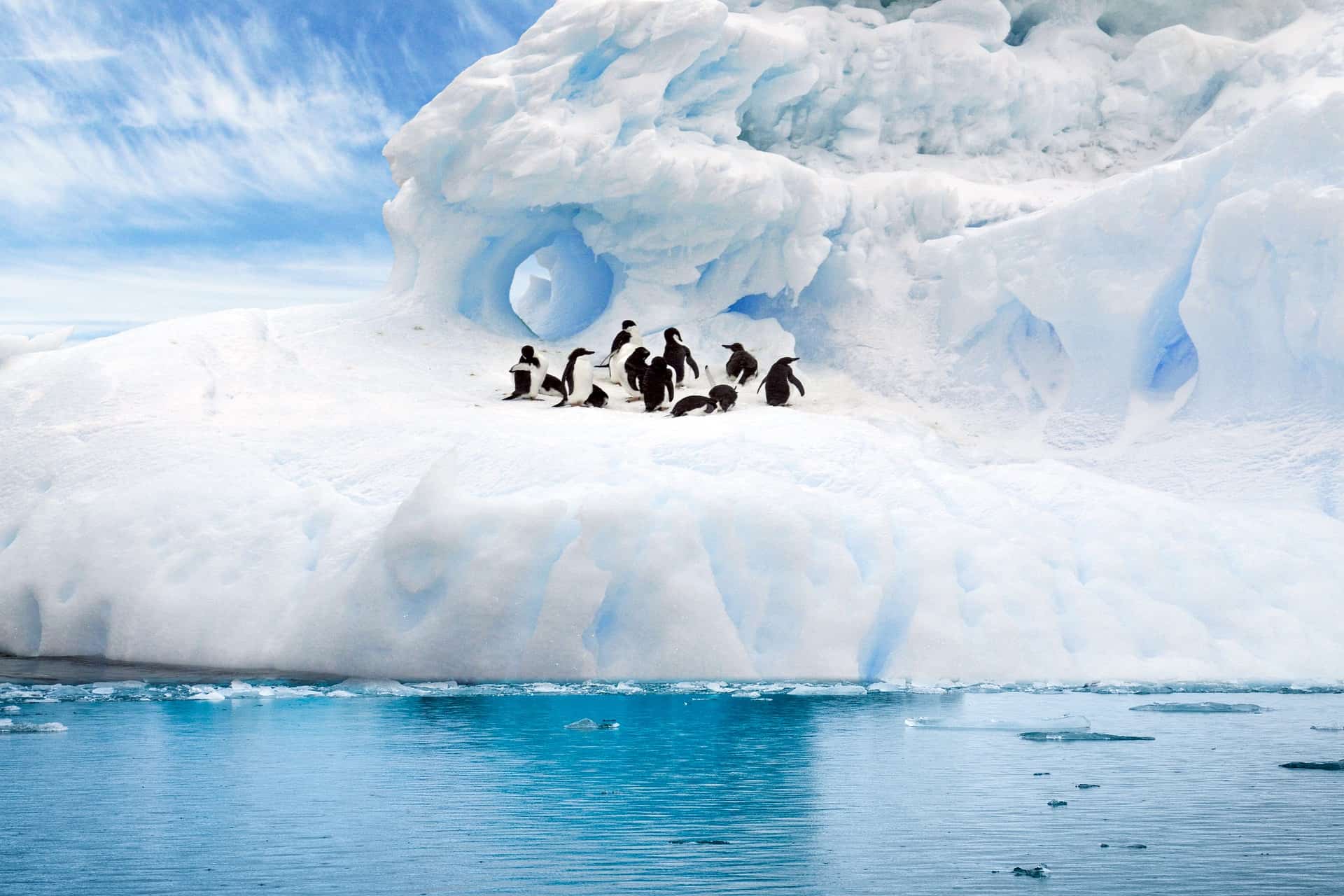 11 Night Antarctica Expedition